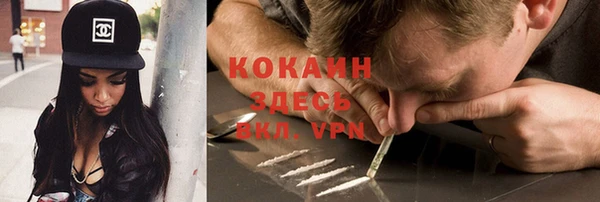 PSILOCYBIN Верея