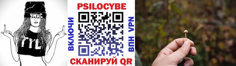 ссылка на мегу tor  Лихославль  Псилоцибиновые грибы Magic Shrooms 